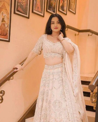 Delhi Cantt Call Girls service